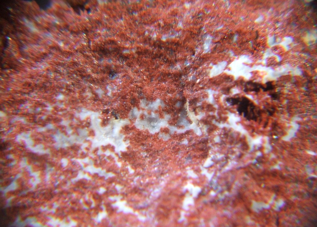 kvarc (kalcedon) foto