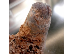 kvarc (kalcedon) foto
