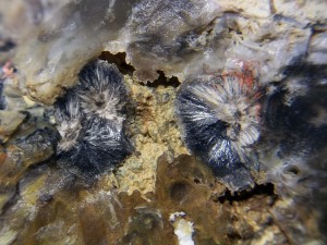antimonit foto