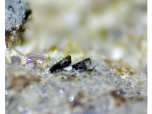 magneziohornblende (amfibolok) foto