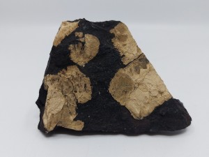 hidroxilapatit (apatit csoport) fotó