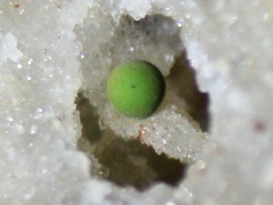 malachit foto