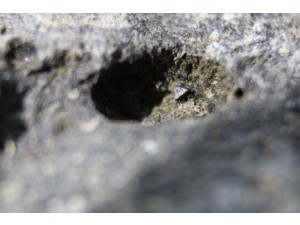 spinell foto