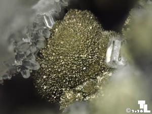 pirit foto