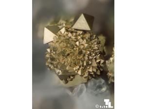 pirit foto