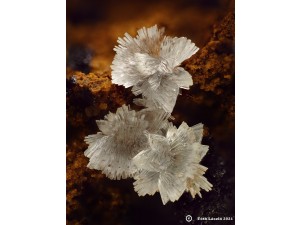 hemimorfit fotó